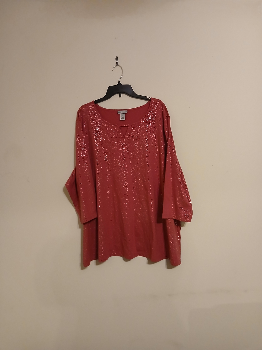 Caherines Sparkle Women's Tunic Top